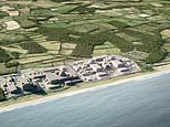 Government gives green light on Sizewell C nuclear power station 