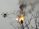 Drone is converted into a flying flamethrower to destroy 100 wasp nests