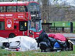 Priti Patel is urged to help ‘powerless’ council shut down Park Lane homeless encampment