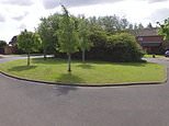 ‘Schoolboy’ is found dead in quiet Lincolnshire village as boy, 14, and man, 19, arrested for murder