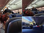 Photos from passengers onboard United fight show complete chaos among passengers