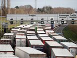Britain’s supermarket shelves may empty as France’s Covid ban on British truckers
