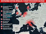 Italy becomes fourth country to spot mutated Covid virus in British traveller