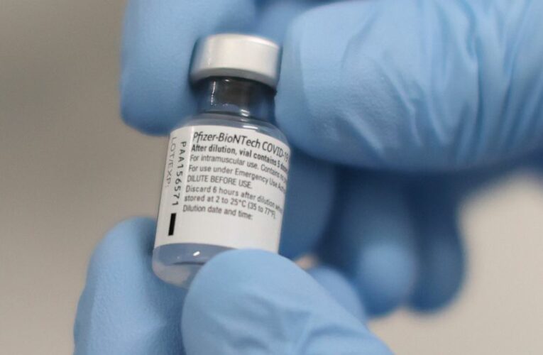 Pfizer COVID-19 vaccine faces last hurdle before US decision
