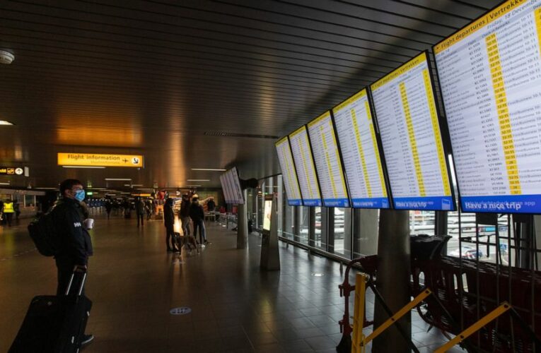 Several EU nations halt UK flights, fearing virus variant