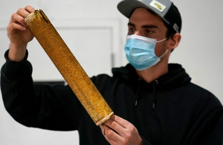 Seaweed industry stays afloat, seeks growth during pandemic