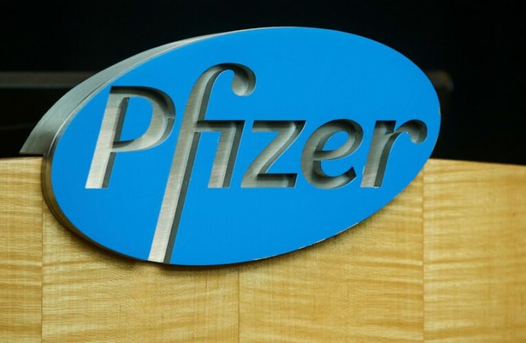 Pfizer COVID-19 vaccine faces last hurdle before US decision