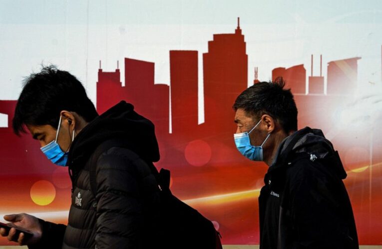 The Latest: Snowstorm wrecks havoc on Austria virus testing