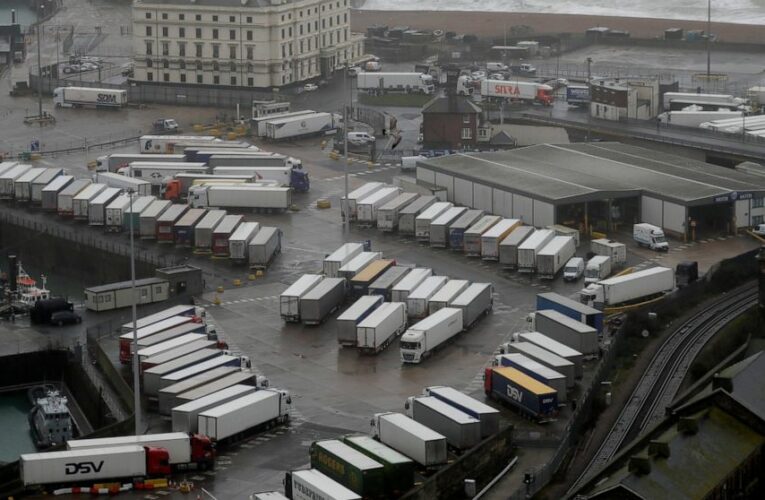 Cut off: Britain hit with travel bans over new virus strain