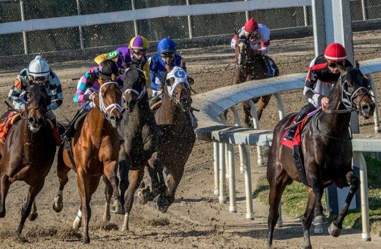 Congress approves bill to crack down on racehorse doping