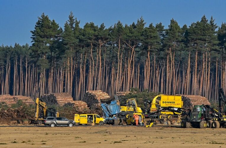 German court halts felling of trees at site of Tesla plant