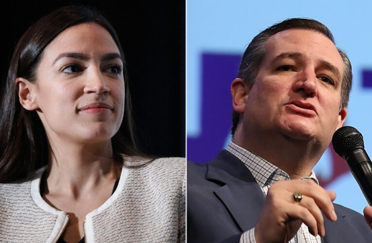 The Democrat rejected the Republican’s support over Wall Street chaos after he appeared to agree with her on the need to probe the Robinhood app