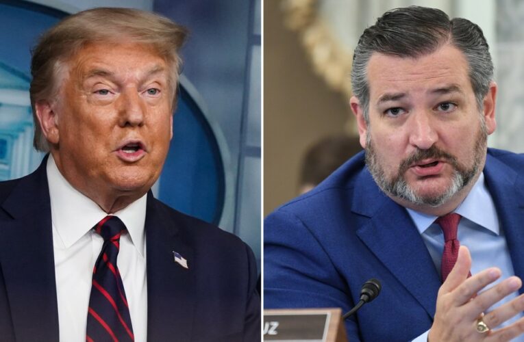 Efforts to overturn the 2020 election show how Trump’s agenda might manifest itself in the coming years