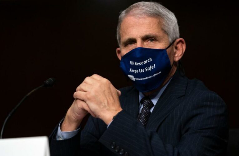 Fauci talks ‘liberating feeling’ serving under Biden versus Trump