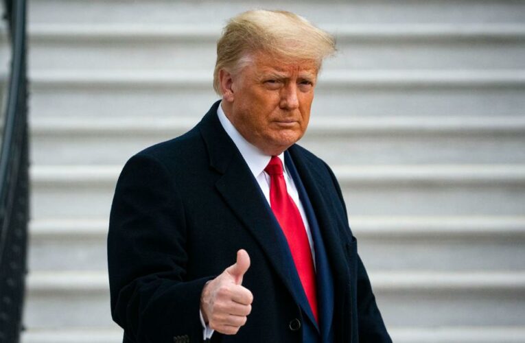 ‘Several dozen’ of Trump’s pardons pushed by criminal justice reform groups, source says