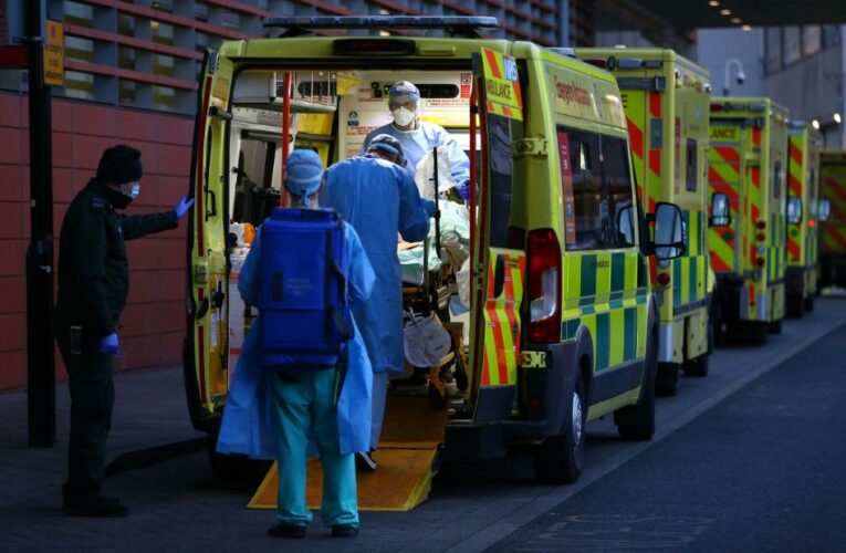 A year in, cases continue to rise sharply in some parts of the world, and every day the losses mount