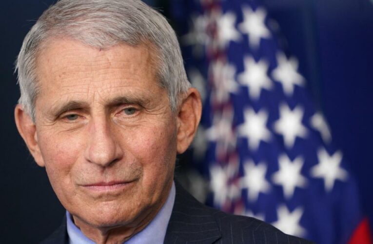 Fauci says he worried Trump’s disinfectant comment would make people ‘start doing dangerous and foolish things’