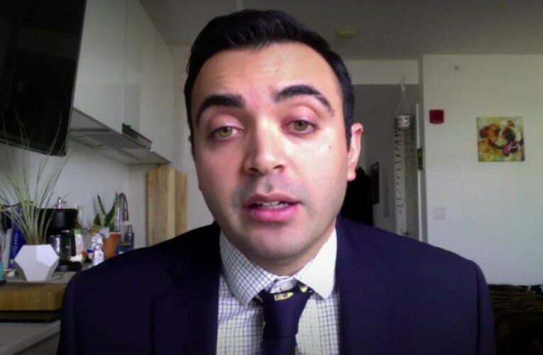 See Harvard health expert’s plan to end pandemic in four weeks