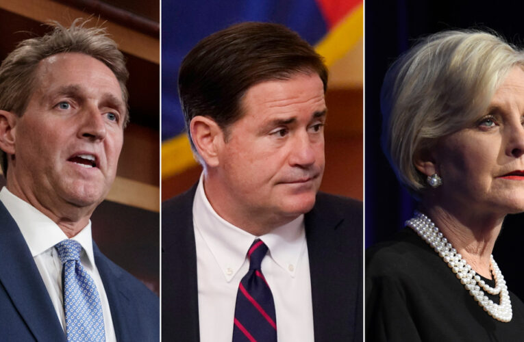 The decision to punish some of the state GOP’s leaders for going against Trump signaled a fractured party in a key swing state