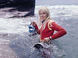How Valerie Taylor became the world’s most glamorous shark hunter and filmed for the movie Jaws