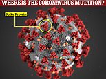 Fears Brazilian strain can reinfect Covid survivors