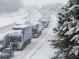 Going SNOW where: Gridlocked drivers are trapped on blizzard-hit A1
