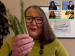 Psychic who predicts the future using ASPARAGUS claims 2021 will see TWO royal divorces