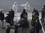 WHO scientists finally arrive in Wuhan to investigate origins of Covid