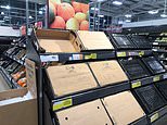 Boris Johnson blames bureaucracy for Northern Ireland food shortages