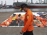 Black box confirms both engines on Indonesian jet were working when it crashed last week