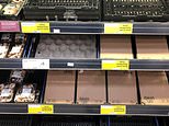 Brexit chaos fuels fresh food crisis