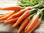 JOHN HUMPHRYS: The carrot crisis that shows we’re dicing with disaster!&nbsp;