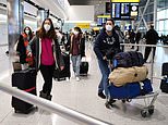 Hotel quarantines proposed for all UK arrivals to check travellers are properly isolating