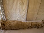 Archaeologists announce treasure trove including 50 sarcophogi and Book of the Dead scroll