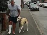 Limping dog copies his injured owner out of sympathy