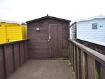 Beach hut no bigger than a garden shed on the Essex seafront goes on sale for £65,000 