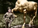 How the ‘Indiana Jones of the art world’ ARTHUR BRAND hunted down Hitler’s horses