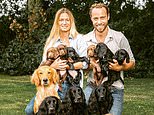 The Cambridges get a new spaniel puppy from her brother James Middleton
