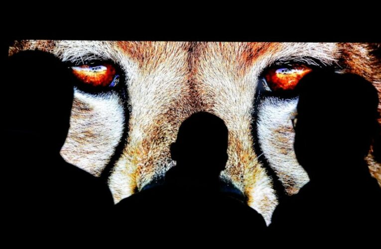 5 CES Trends to Watch