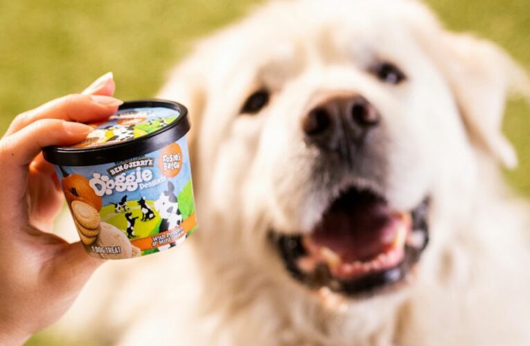 Doggie desserts: Ben & Jerry’s enters the pet food business
