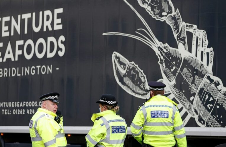 UK seafood trucks protest at Parliament over Brexit red tape