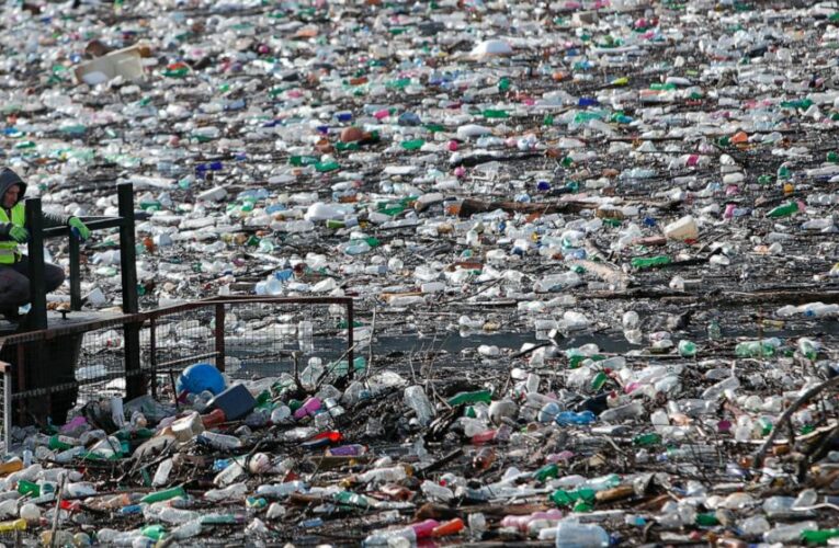 Rubbish-covered lake brings to light Balkans waste problem