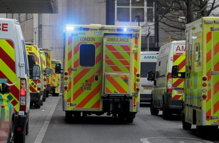 The Latest: Jordan receives first shipment of Pfizer vaccine