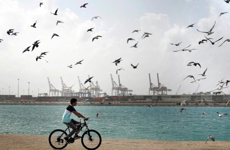 Saudis take on burden of oil output cut to support price