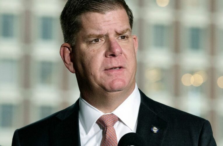 Boston mayor, RI governor among Biden adds to economic team