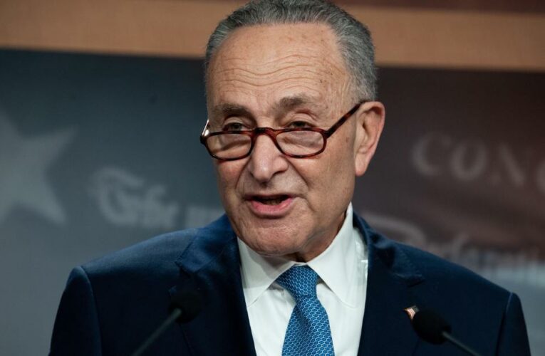 Schumer said President Biden told Senate Republicans that their $600 billion proposal is ‘way too small’
