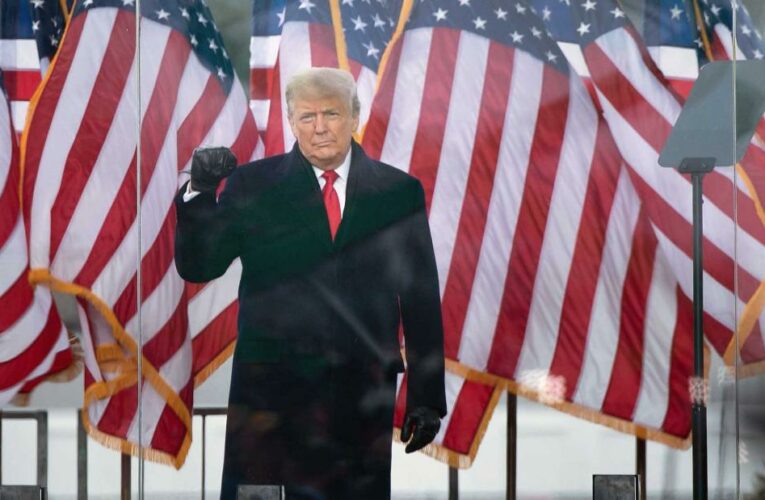 Leading House Democrat sues Donald Trump under a post-Civil War law for conspiracy to incite US Capitol riot