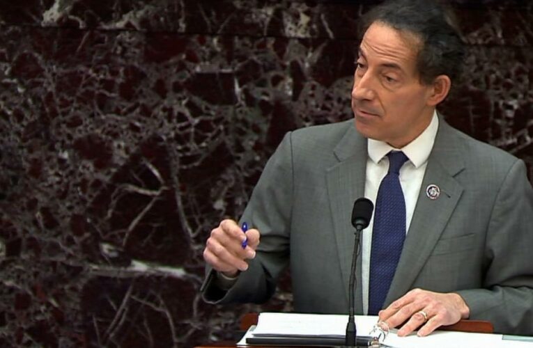 Raskin rebuts key Trump argument with simple analogy