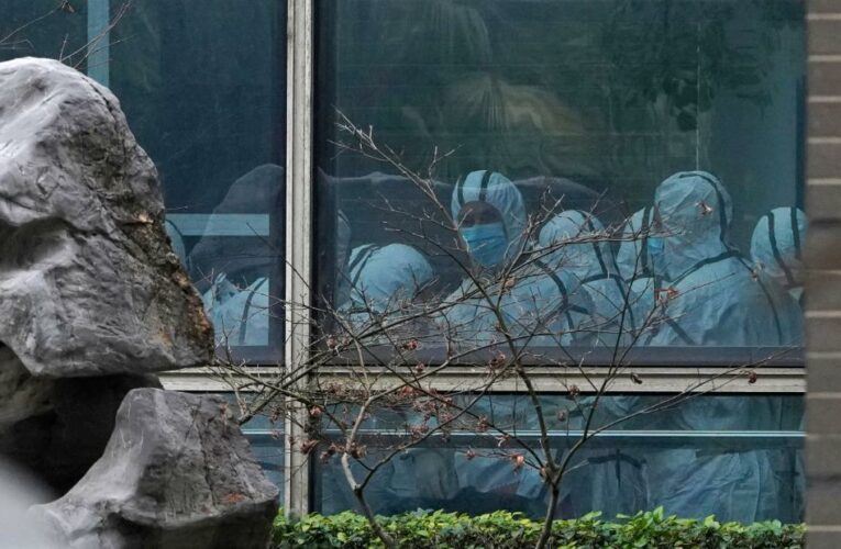 The mission also found there were over a dozen strains of the virus in Wuhan already in December 2019