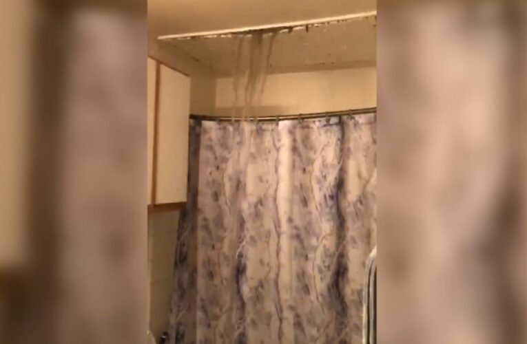 ‘Y’all, I cannot believe this!’: Mom films disaster in Texas home